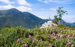 Ruta del Camín Real de la Mesa en el Parque Natural de Somiedo.