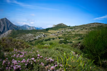 Prados de la Braña de Mumián