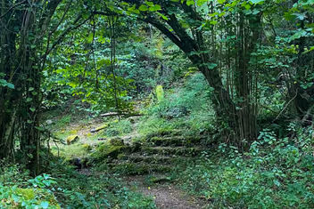 Camino de la Ruta de Castro
