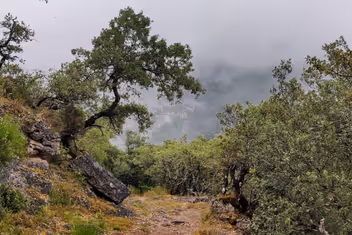Vistas de la Ruta de Castro