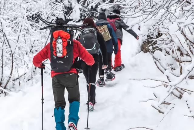 Group walking on snowshoes through a snowy forest