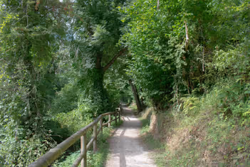 Camino de la senda accesible