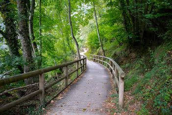Pasarela en la senda accesible