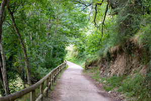 Senda Accesible en el Parque Natural de Somiedo.